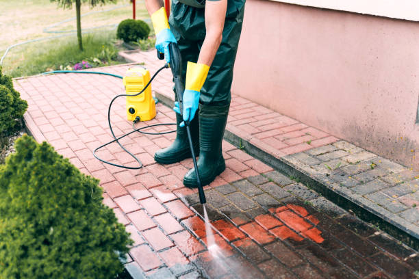 Best Local Pressure Washing Services  in Falcon Heights, MN