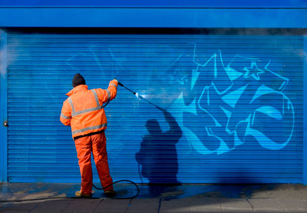 Best Garage Pressure Washing  in Falcon Heights, MN