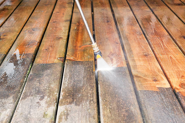 Best Roof Pressure Washing  in Falcon Heights, MN
